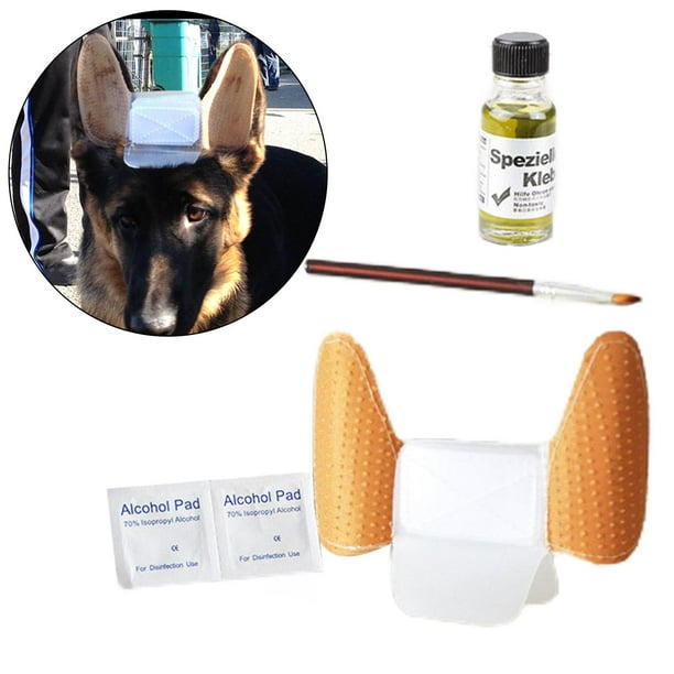 Ear wash for dogs walmart sales