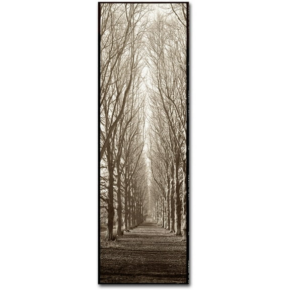 Trademark Fine Art Alan Blaustein Hampton Gates Promenade Canvas Wall Art - 6x19