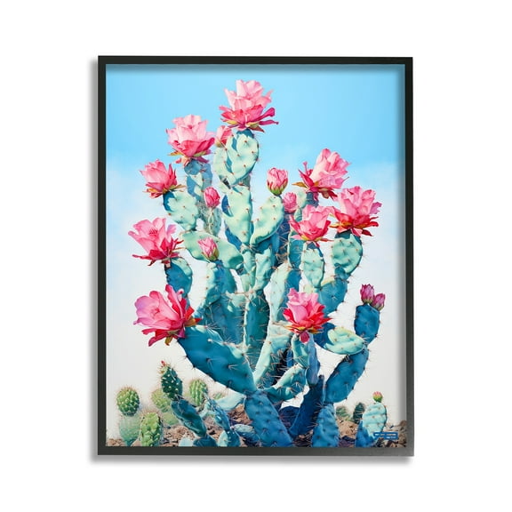Stupell Industries Southwestern Cactus Flowers Botanical & Floral Painting Black Framed Art Print Wall Art, 11 x 14
