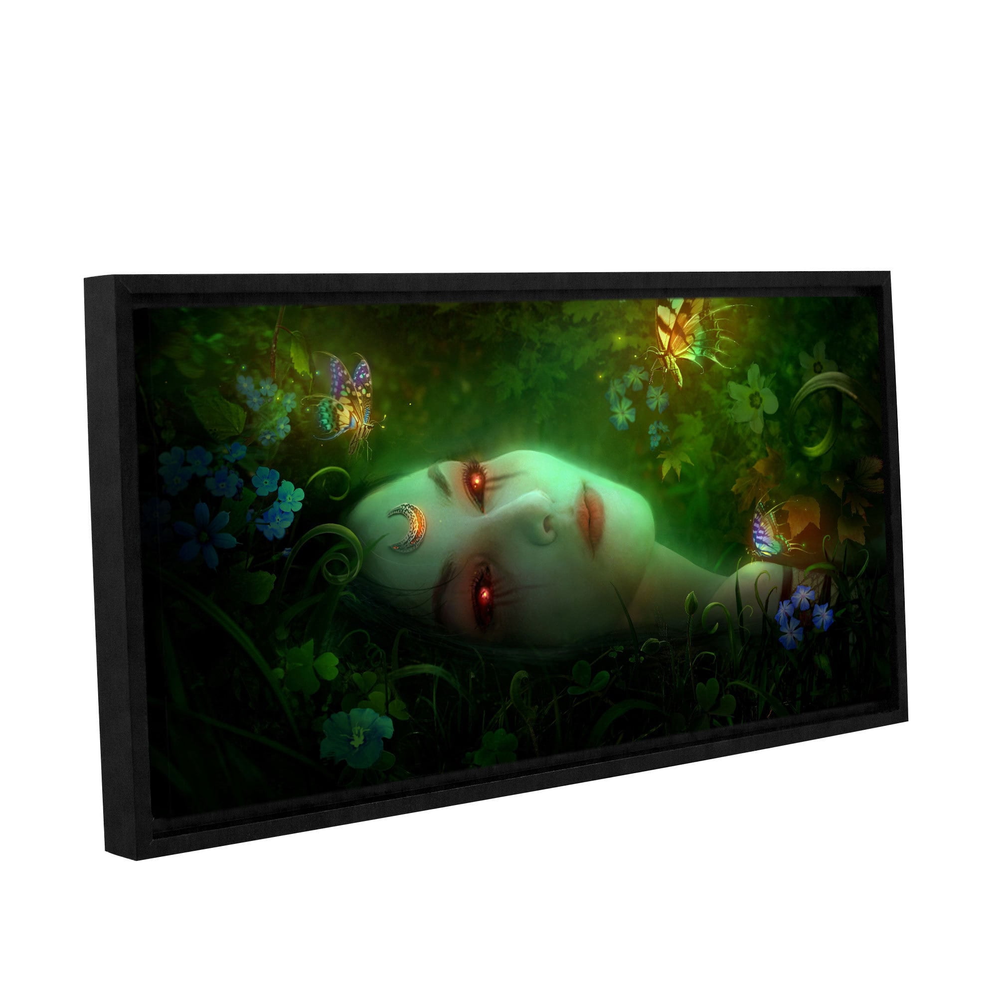 ArtWall Philip Straub "Aadyasha" Gallery-wrapped Floater-framed Canvas