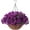 Lotus, variant on Artificial Hanging Flowers in Basket, Artificial Petunias Arrangement,12 inch Coconut Lining Basket with Morning Glories Fake Plants for Patio Garden Porch Deck Spring Decoration(Fuchsia)