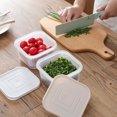 thumbnail image 3 of Cheers Double Layer Fruit Ginger Garlic Onion Drain Fridge Sealed Fresh-keeping Box, 3 of 8