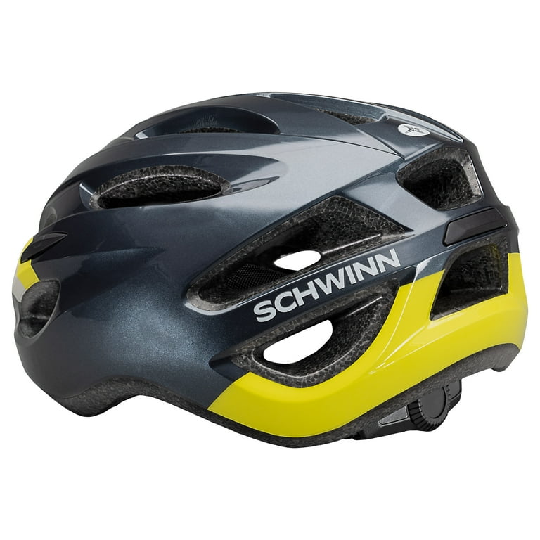 Schwinn regent sale