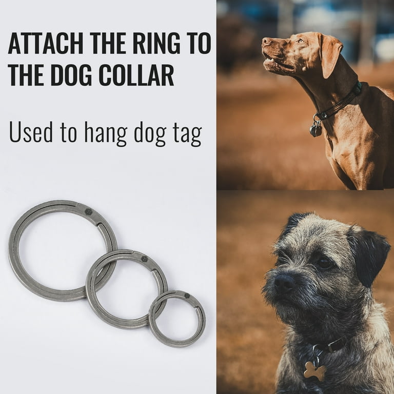 Dog Tag Carabiner Key Chain