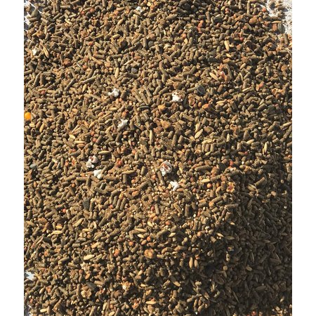 Amazingly Tasty Layer Feed for Hens Freshly Milled: Non-GMO, Soy Free, Corn Free, with Organic Fertrell Vitamins and Minerals (20lb)