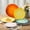Multicolor, variant on Melamine Dinner Plate Plastic Bread Butter Plates Set of 6 Pcs 11 inch Lightweight Shatter Proof Chip Resistant Dishwasher Safe (Multicolor)