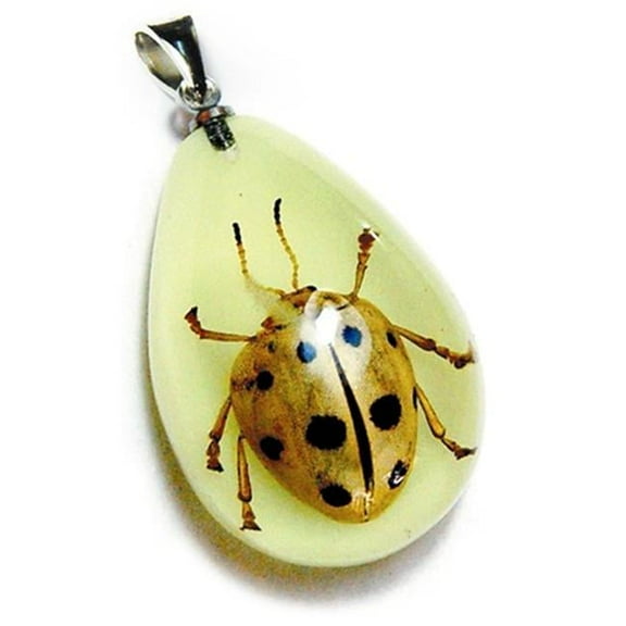 Real Bug Necklace-Black & White Leaf Beetle