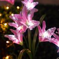 thumbnail image 5 of Harpi Solar Lights Outdoor Clearance, Solar Garden Lights Decor, Lily Garden Decorative Flowers with 4 Lily Flowers, Waterproof LED Solar Powered Landscape Lights for Yard Garden Patio, 5 of 7