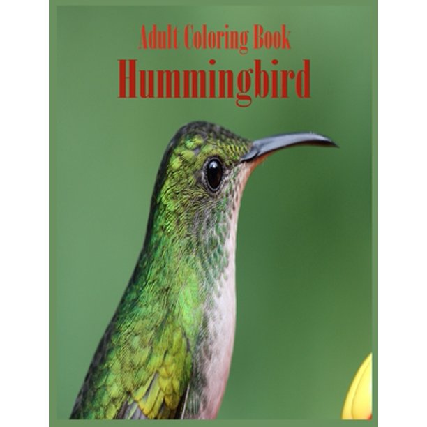 Download Adult Coloring Book Hummingbird An Adult Coloring Book Featuring Charming Hummingbirds Beautiful Flowers And Nature Patterns For Stress Relief And Relaxation Paperback Walmart Com Walmart Com