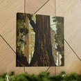 thumbnail image 6 of Redwood's Eternal Splendor - Canvas, 6 of 10