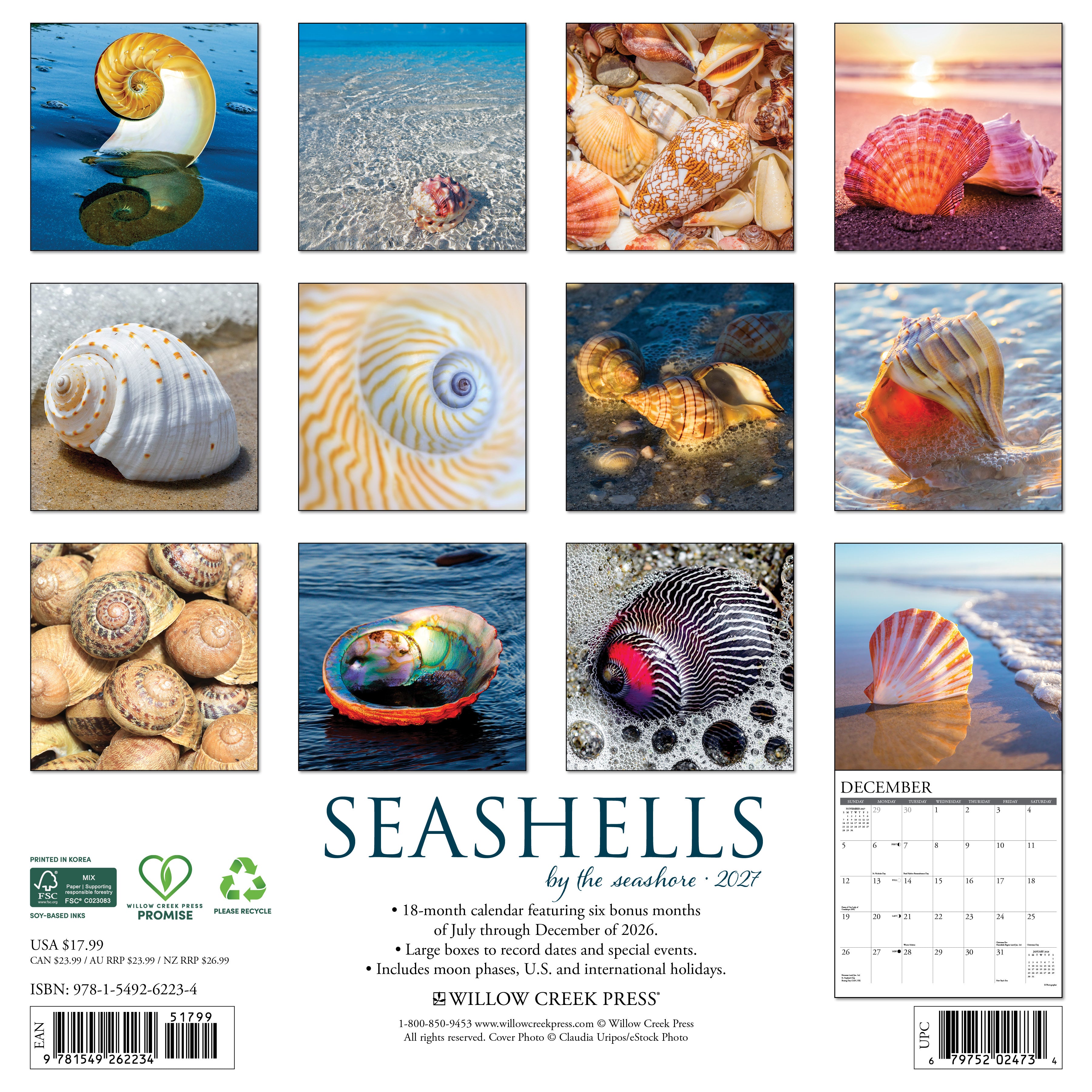 Willow Creek Press, Seashells 2027 Wall Calendar