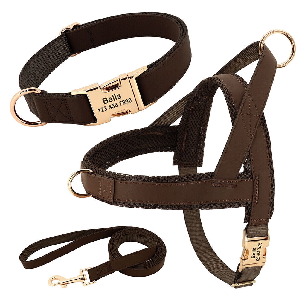 Pet Artist 3pcs Personalized Dog Harness & Collar & Leash set Metal ID Name Metal Buckle Mesh Padded Adjustable