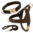 thumbnail image 4 of Pet Artist 3pcs Personalized Dog Harness & Collar & Leash set Metal ID Name Metal Buckle Mesh Padded Adjustable, 4 of 8