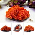 thumbnail image 2 of Holzlrgus 1Pc of Polyresin Coral Ornaments, Aquarium Coral Decor for Fish Tank Aquarium Decoration 5.11" x 3.93" x 2.75", 2 of 6
