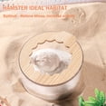 thumbnail image 2 of Marchul Hamster Sand Bath Container with Roof & Shovel, Transparent 2 in 1 Bathroom Toilet for Dwarf Syrian Hamster, Gerbil Small Pets, 2 of 7