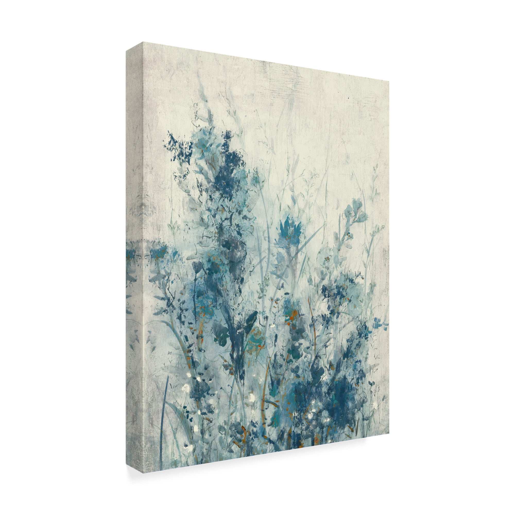 Trademark Fine Art 'Blue Spring I' Canvas Art by Tim OToole