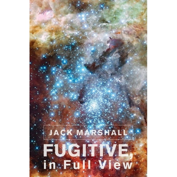 Fugitive, in Full View (Paperback)