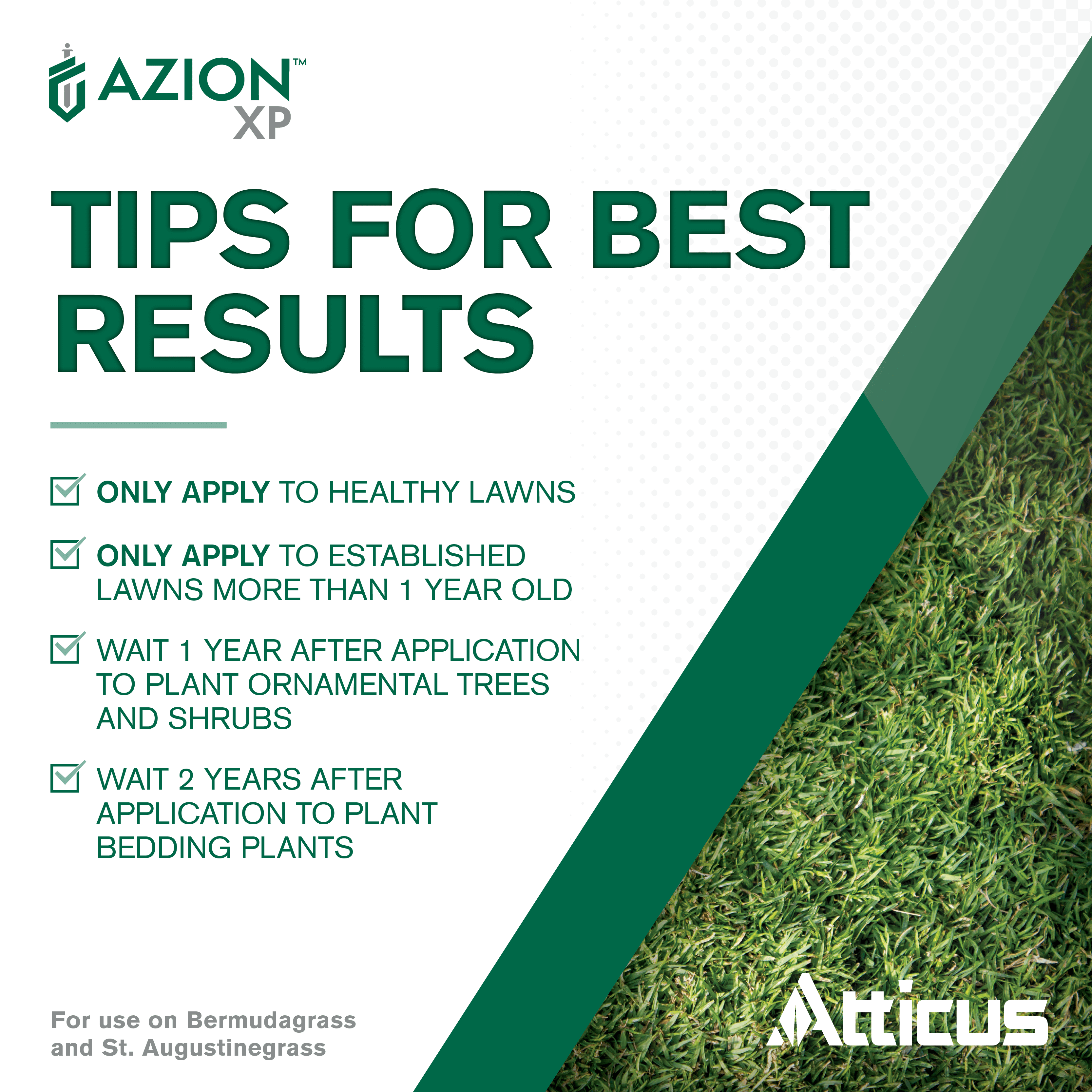 Azion XP MSM Turf Herbicide (16 oz) - Selective Postemergence Weed and Brush Control, Metsulfuron Methyl 60% by Atticus