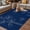 Blue, variant on Retro Beige Flowers Outdoor Rug for Patio/Deck/Porch, Non-Slip Large Area Rug 4 x 6 Ft, Rustic Abstract Floral Simple Art Indoor Outdoor Rugs Washable Area Rugs, Reversible Camping Rug Carpet Runner