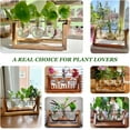 thumbnail image 5 of Desktop Plant Propagation Station, 3 Bulb Vase Plant Terrarium with Wooden Stand for Hydroponic Plants Home Office Home Decoration Valentine’s Day,Birthday Gift, 5 of 7