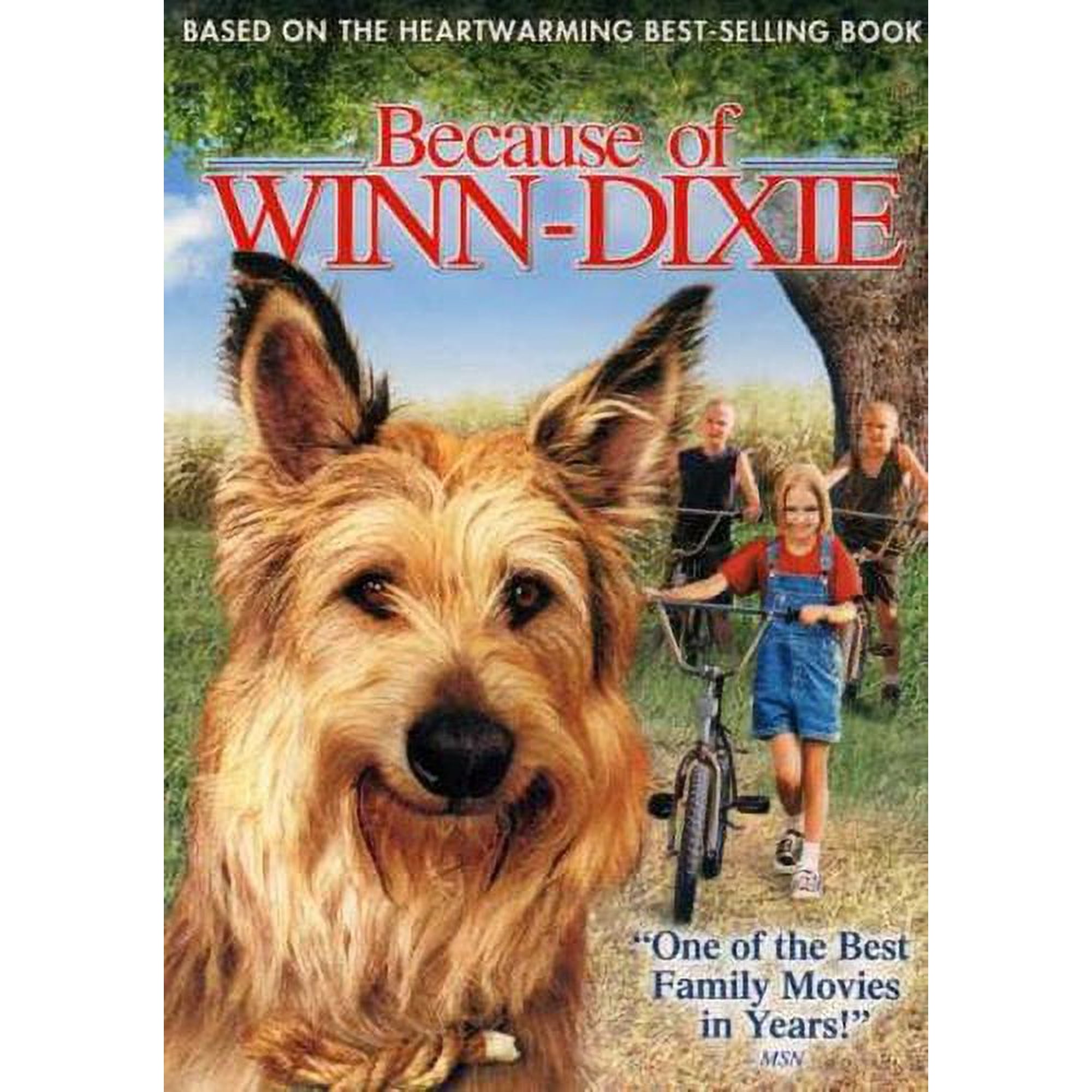 Because of Winn-Dixie