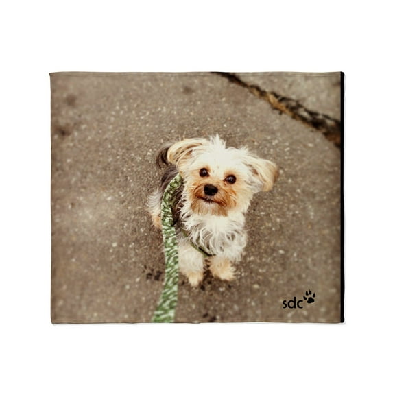 CafePress - Joey Throw Blanket - Soft Fleece Throw Blanket, 50"x60" for All Ages