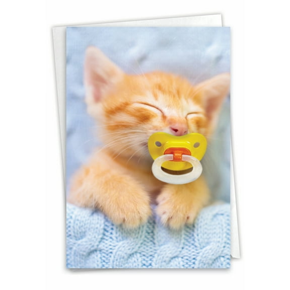 1 Birthday Card with Envelope - Cat Pacifiers Kitty C9171DBDG