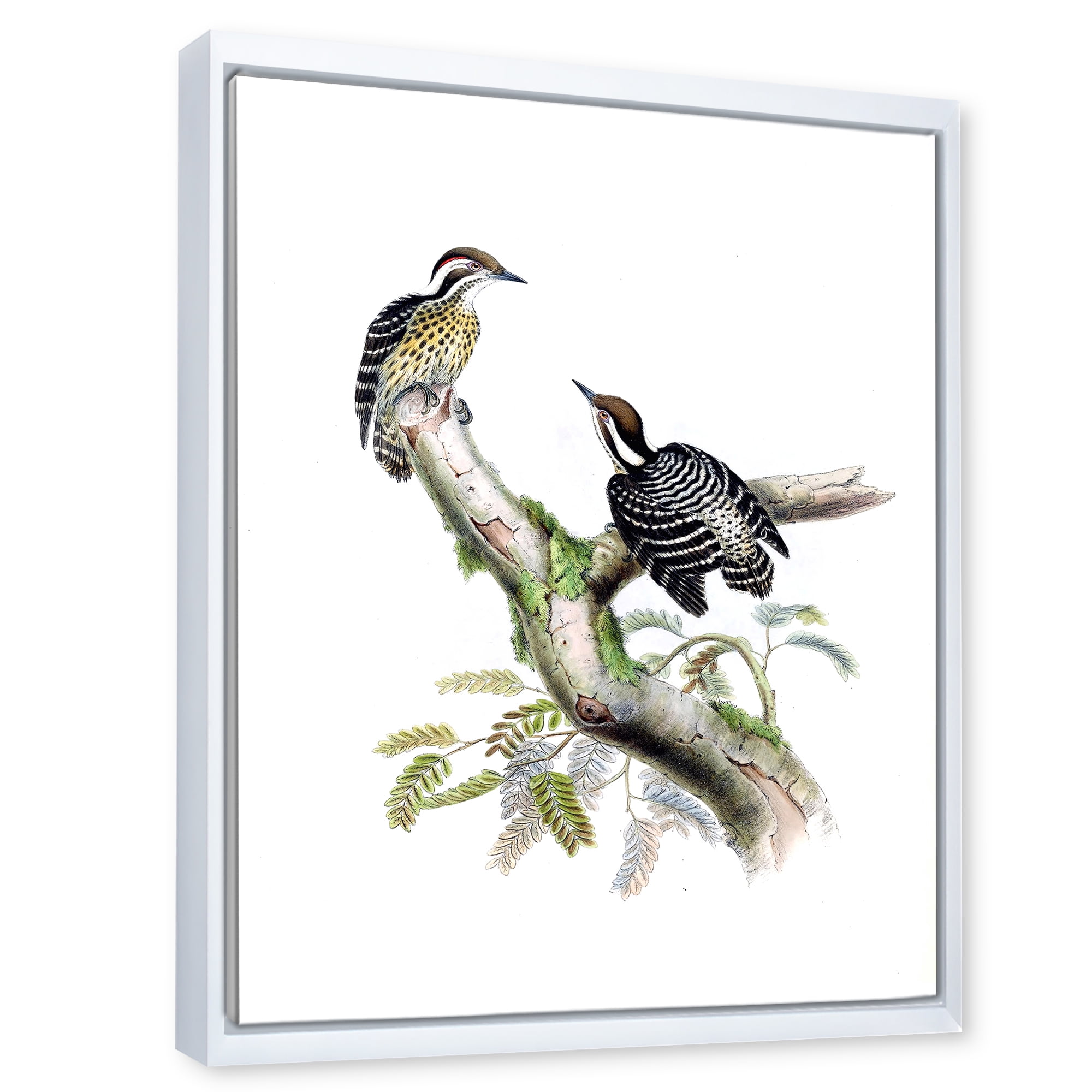 Designart 'Ancient Birds In The Wild VIII' Traditional Framed Canvas Wall Art Print