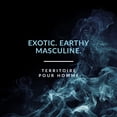thumbnail image 2 of Perfume Territoire Eau De Parfum para hombre color azul, 2 of 5