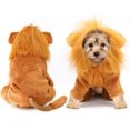 thumbnail image 2 of Disfraz de león para perros, grande, ropa para mascotas para fiesta de Halloween Rojo Verde MX-0126575FYD, 2 of 5