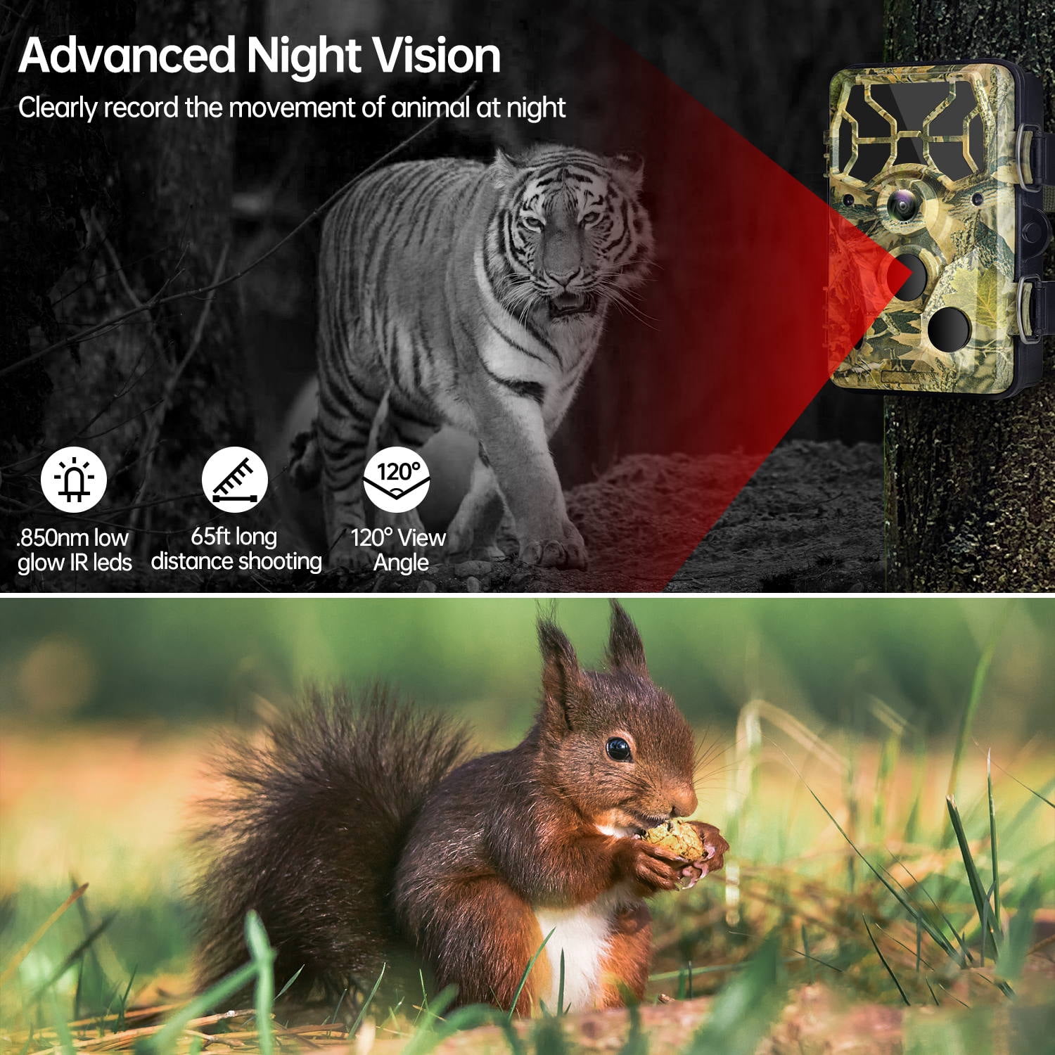 CAMPARK Trail Camera WiFi Buletooth 20MP 1296P Game Hunting Camera Infrared Night Vision Waterproof IP66 Motion Activated 2.4" Color TFT LCD Trail Cam for Wildlife Monitor