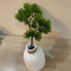 thumbnail image 4 of Plantas Artificiales Injueey 4 Piezas Materiales de Artesanía Champán, 4 of 6