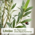 thumbnail image 4 of Artificial Olive Tree 6ft, Tall Faux Olive Trees with Planter, Potted Large Artificial Plants Indoor - Realistic Leaves & Fruits, Silk Fake Tree for Home Office Decor, 4 of 6