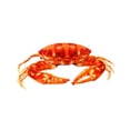 thumbnail image 1 of Jouet Réaliste de Crabe Rouge Peluche Thème Océan Coussin Doux pour Enfants Adultes Maison, 1 of 3