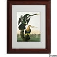 thumbnail image 2 of Trademark Fine Art "Black-Billed Darter" Canvas Art by John James Audubon, Black Frame, 2 of 5