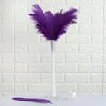 thumbnail image 4 of Balsa Circle 12 Pieces 13"-15" Purple Authentic Ostrich Feathers Centerpieces, 4 of 8