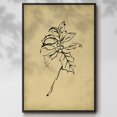 thumbnail image 2 of Holly Branch II - Framed Gallery Wrapped Holiday Canvas - 17 x 25 - Black Frame, 2 of 8
