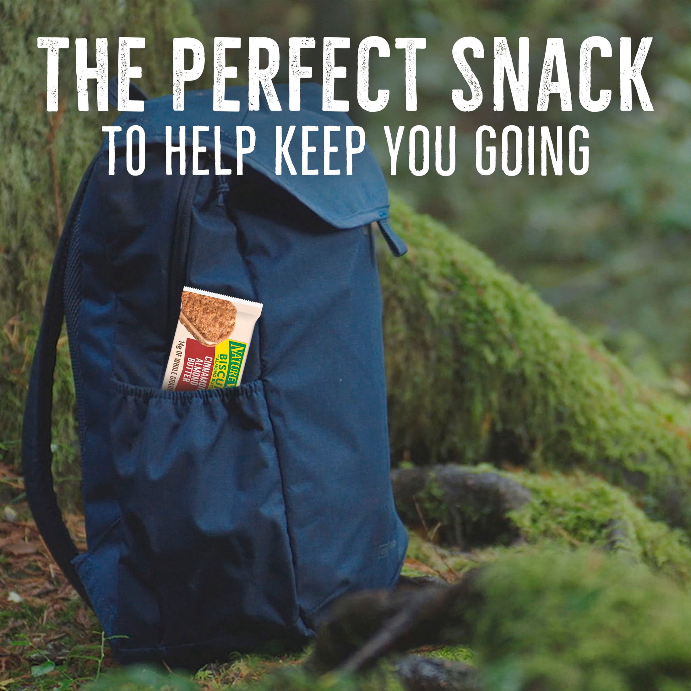 (4 pack) Nature Valley Cinnamon Almond Butter Biscuit Sandwiches Snack Bars (16 Pouches)