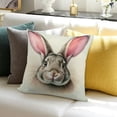 thumbnail image 3 of Easter Bunny Throw Pillow Cover Cute Rabbit Pillowcase Cushion Cover Spring Home Decoration Cotton 18 x 18 Inch, 3 of 5