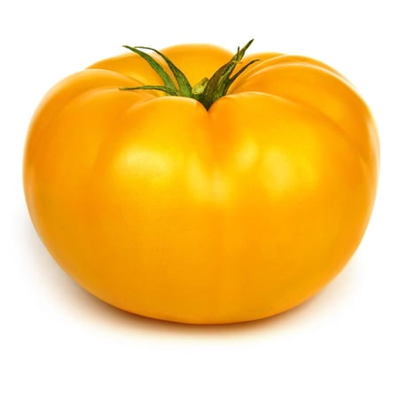 Yellow Beefsteak Tomato 250 Mg ~90 Seeds – Non-GMO Heirloom Indeterminate – Large 1–2 lb Fruits – Open-Pollinated Slicing Tomatoes for Garden Beds & Greenhouses – 85 Days to Maturity