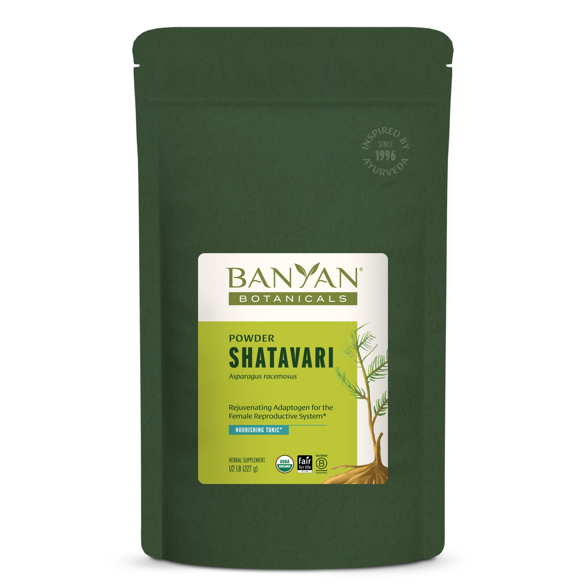 Banyan Botanicals Shatavari Powder – Organic Asparagus Racemosus Root Powder – Rejuvenating Adaptogen Tonic That Supports a Healthy Reproductive System* – 1/2 lb. – Non-GMO Sustainably Sourced Vegan