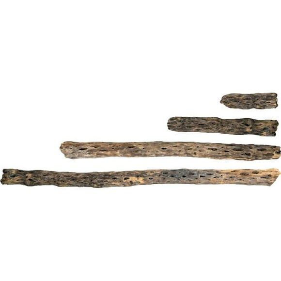 Cholla Wood Aquarium