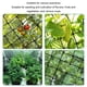 thumbnail image 5 of Kenally Tienda de cultivo hidropónico portátil y multifunción para necesidades de jardinería, red elástica para plantas hidropónicas, Jardín y Patio Negro, 150*150 cm 150*150 cm, 5 of 6