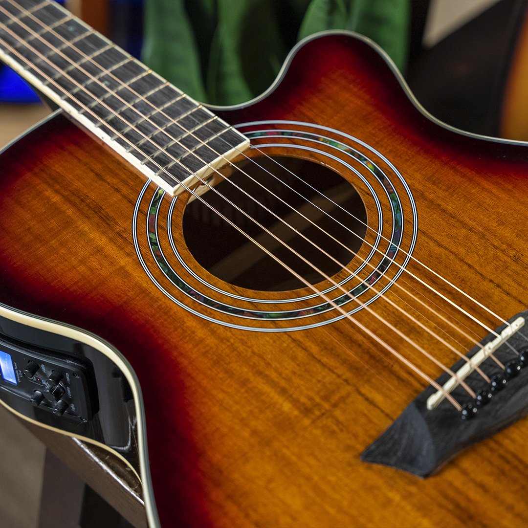 Washburn Festival Series Cutaway Mini Jumbo Acoustic Electric Guitar, Koa Burst, 6 Strings