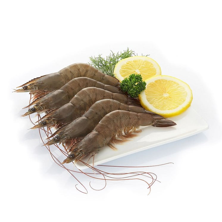 Ecuagold Frozen Raw Shrimp Head-on, 1.5 lb (14-23 Count per lb)