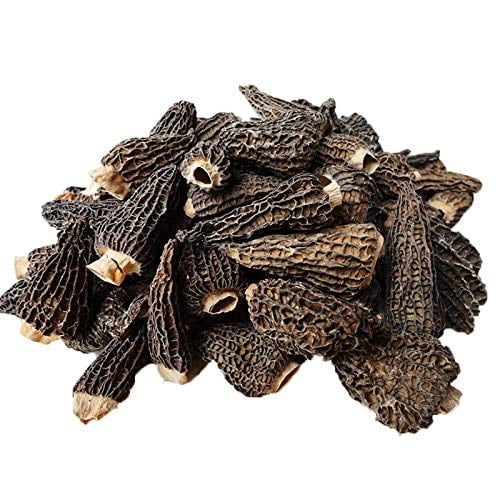 Premium Grade, Dried Morel Mushrooms 1oz (Morchella Conica) by