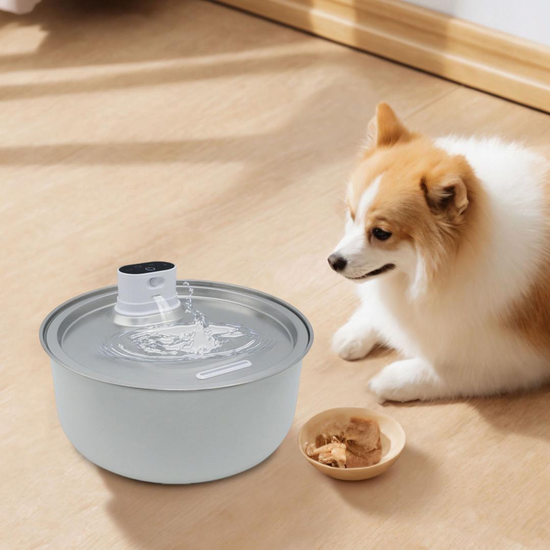 Automatic Large Water Dispenser for Dogs & Cats 8L Stainless Steel Quiet Cordless Pet Water with Motion Sensor & Filter BPA Free, for Big/Medium/Small Cat & Dog,Silver