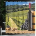 thumbnail image 4 of Ambesonne Italian Shower Curtain, Vineyard Tuscany Grape, 69"Wx75"L, Green Blue Brown, 4 of 5