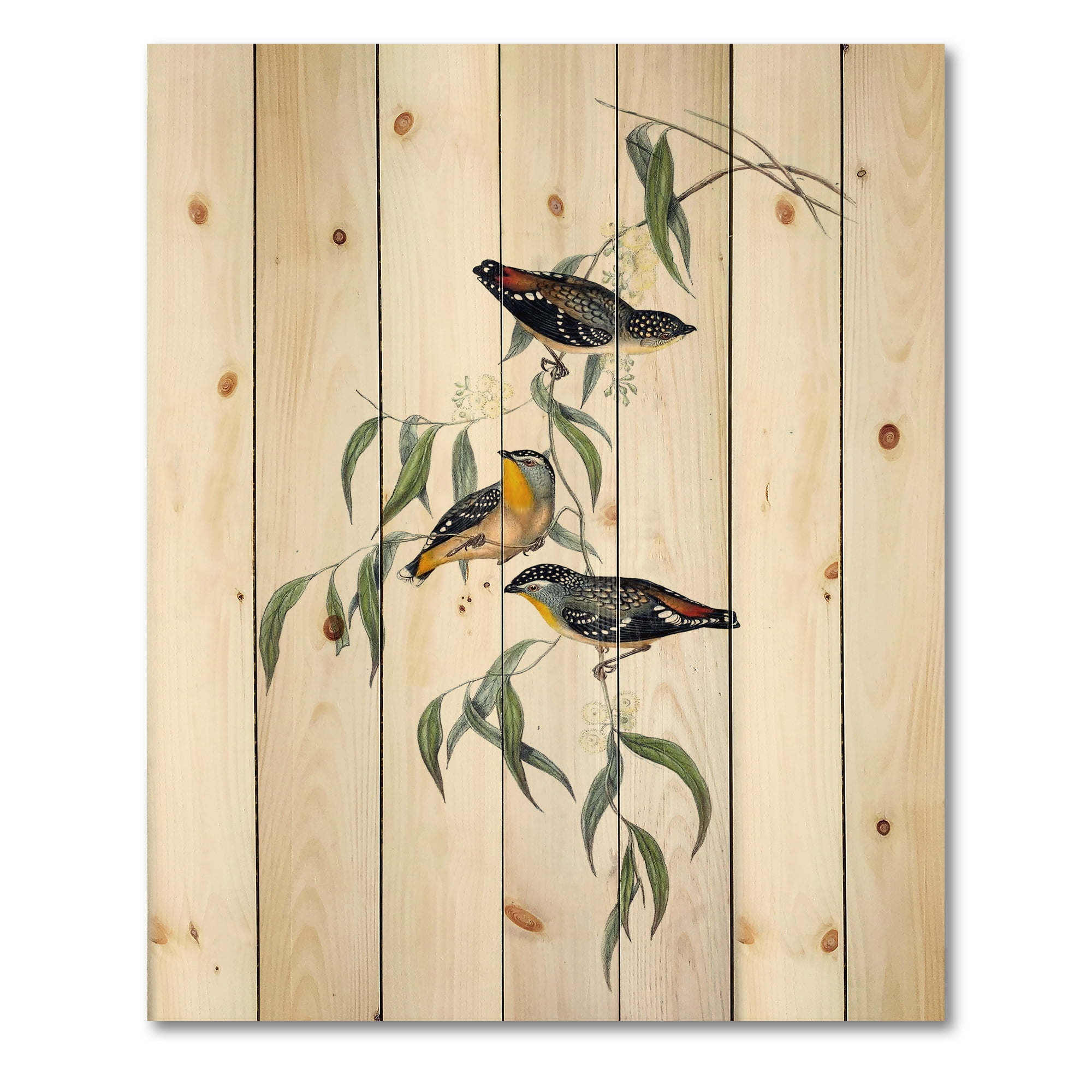 Designart 'Ancient Bird Life III' Traditional Print on Natural Pine Wood