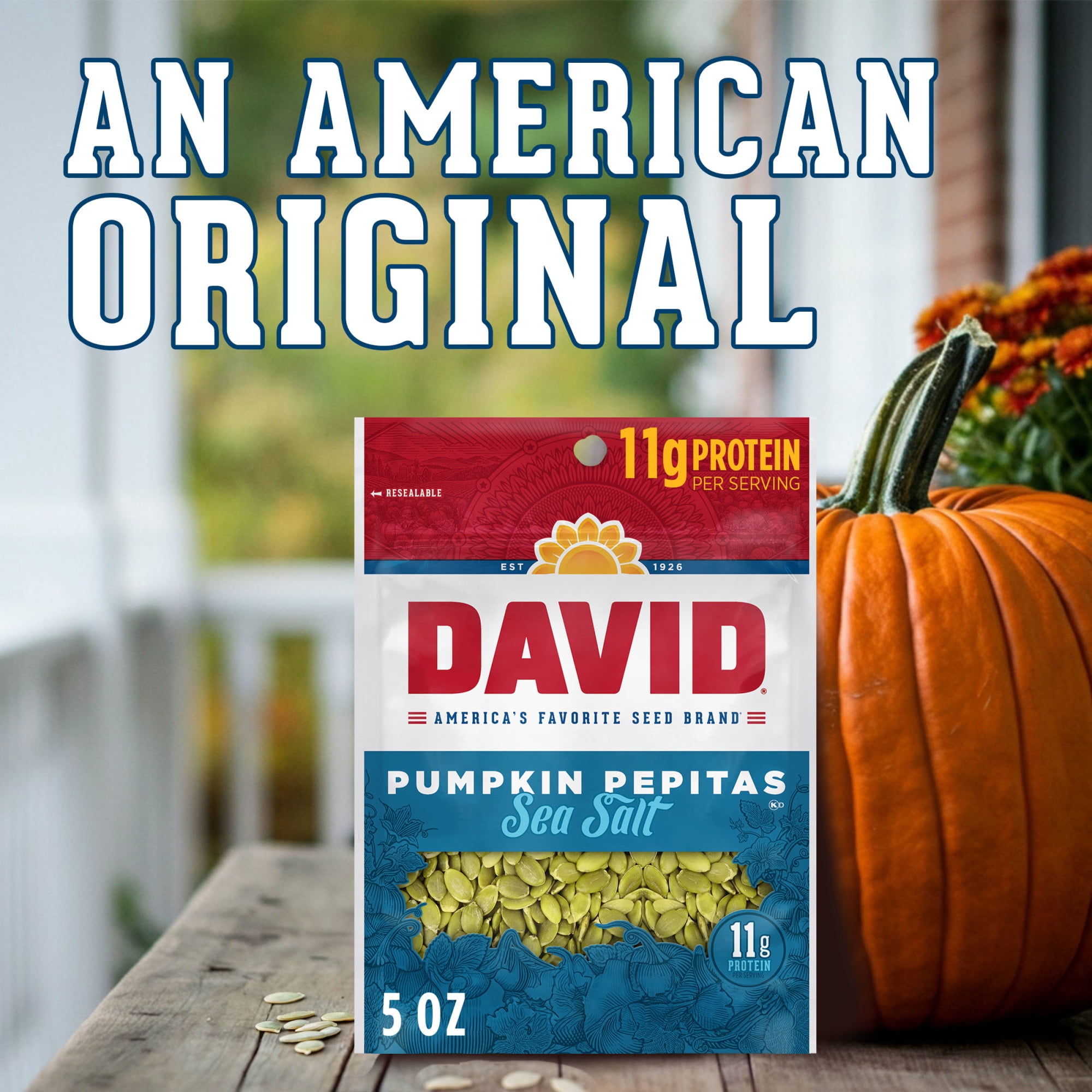 (4 pack) DAVID Sea Salt Pumpkin Pepitas, Salted Pumpkin Seed Kernels, 5 oz